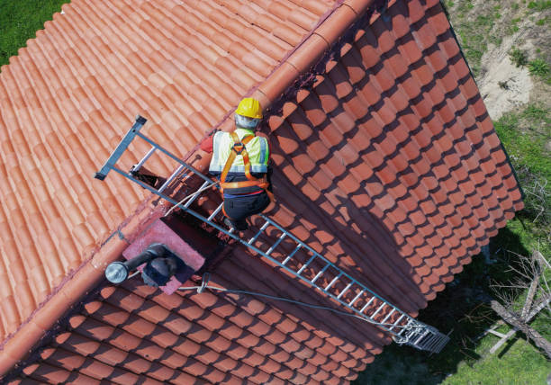 Best Roof Coating and Sealing  in Lakewood Park, FL