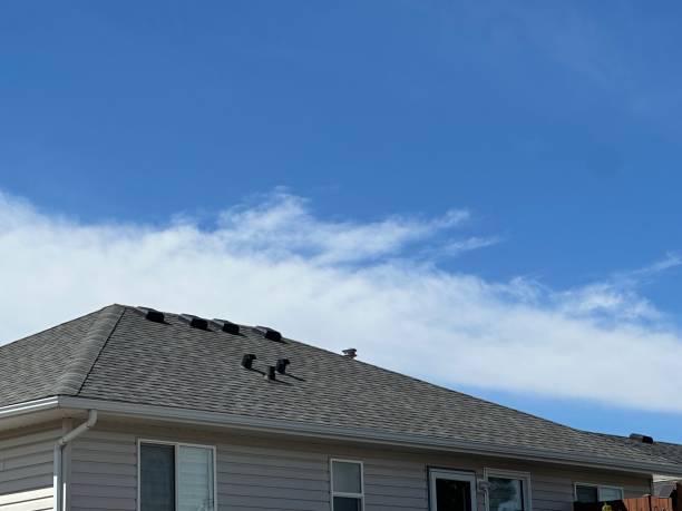 Best Emergency Roof Repair Services  in Lakewood Park, FL